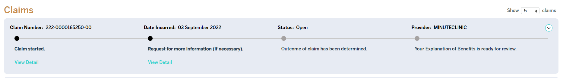 member-portal-claim-status-example